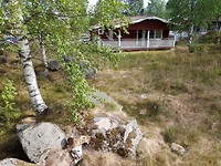 Achterkant huisje