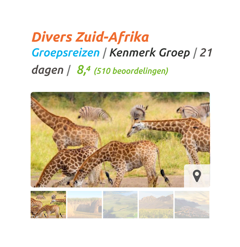 Op naar de big vige
