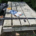 IMG-20230730-WA0021