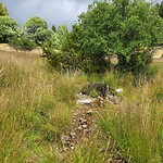 IMG-20230730-WA0000