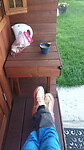 IMG-20230905-WA0005