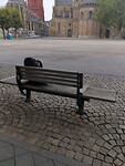 20230913_085233