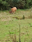 20230919_100515
