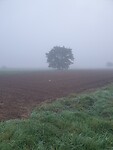 20230930_073709