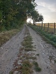 20231006_082651