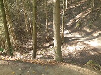 20231011_104040