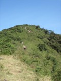 Wandeling in de Ngong Hills