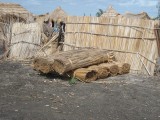 Gras voor de shelter