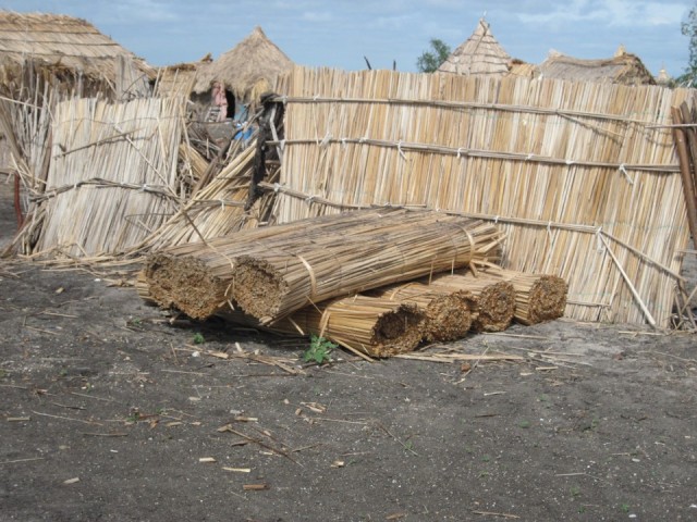 Gras voor de shelter