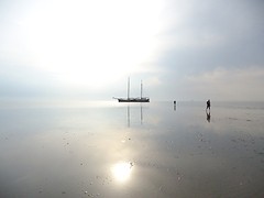droogvallen onder Texel