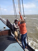 nog even de touwtjes wat strakker trekken