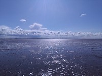 Dag wad