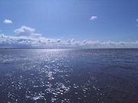IMG_20170902_145105