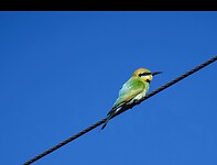 IMG_0015
