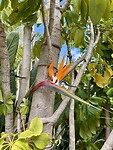 IMG_2142