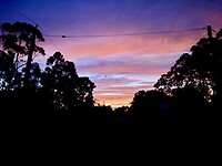 IMG_2159