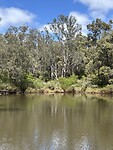 IMG_2196