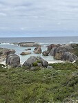 IMG_2211
