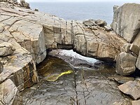 IMG_2274