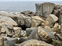 IMG_2281