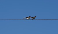 A7405063