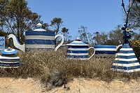 IMG_2336