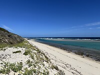 IMG_2339