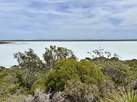 IMG_2410