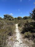IMG_2420