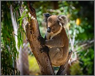 IMG_0026