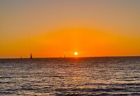 IMG_2499