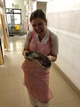 Placenta