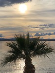 IMG-20200312-WA0021