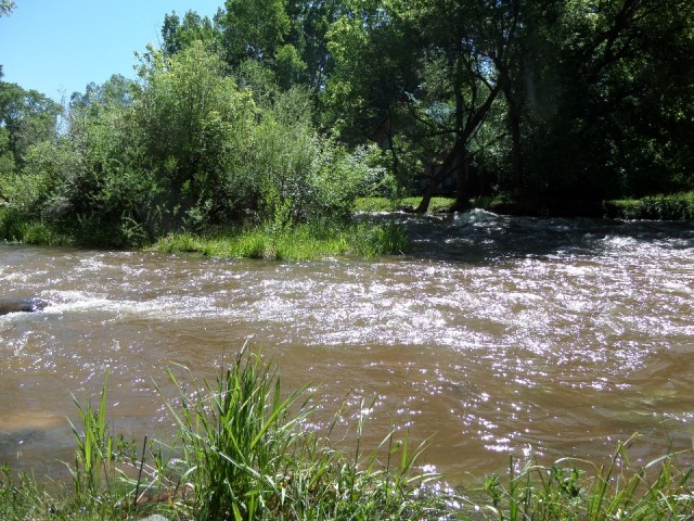 SAM_0125