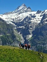 Paragliders maken zich klaar op de First