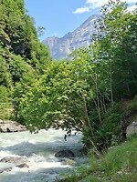 Schwarze Lutschine