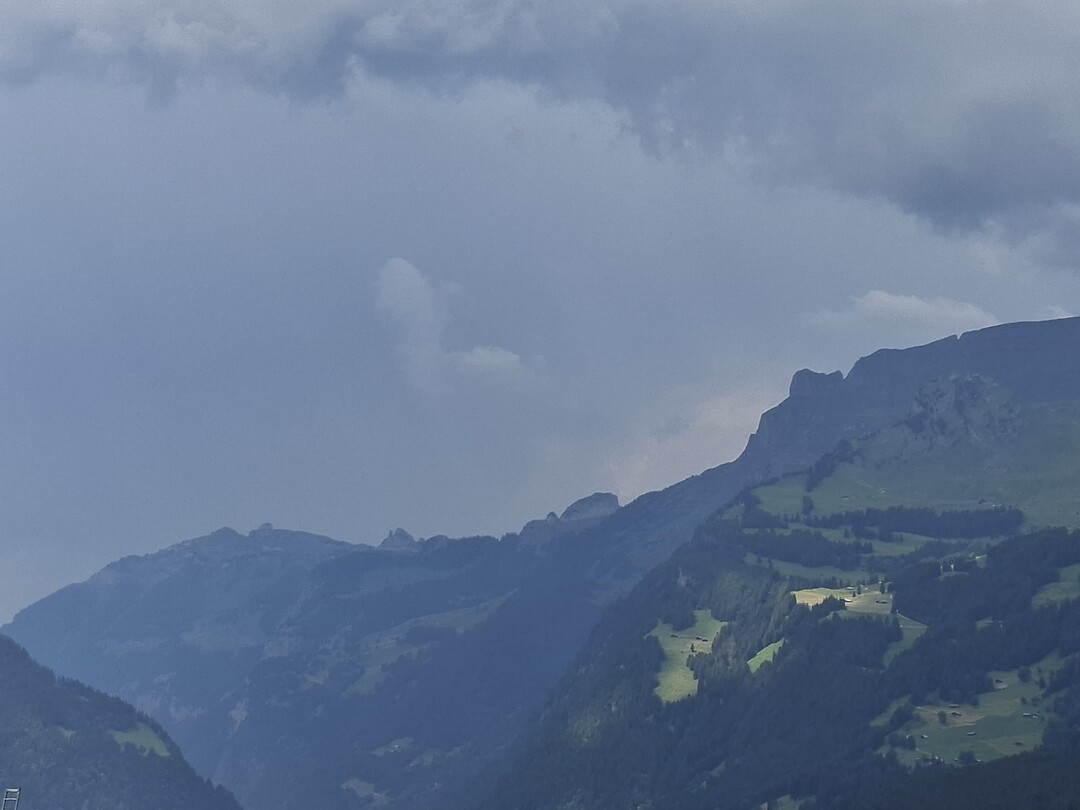 Bui