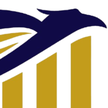 Affluent Wealth Managers