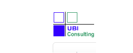 UBI Consalting