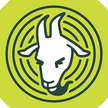 Goat patch brewing