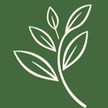 September Growth Partners