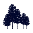 Five Elms Capital