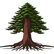 Redwood Capital Partners