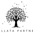Stellata Partners
