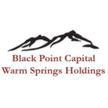 Warm Springs Holdings