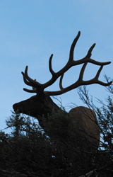 Inside the Arizona Game and Fish Department