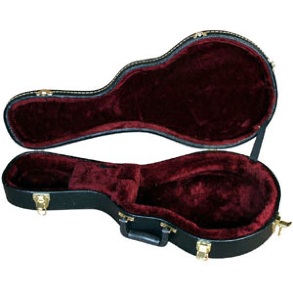Mandolin Case Coast Music