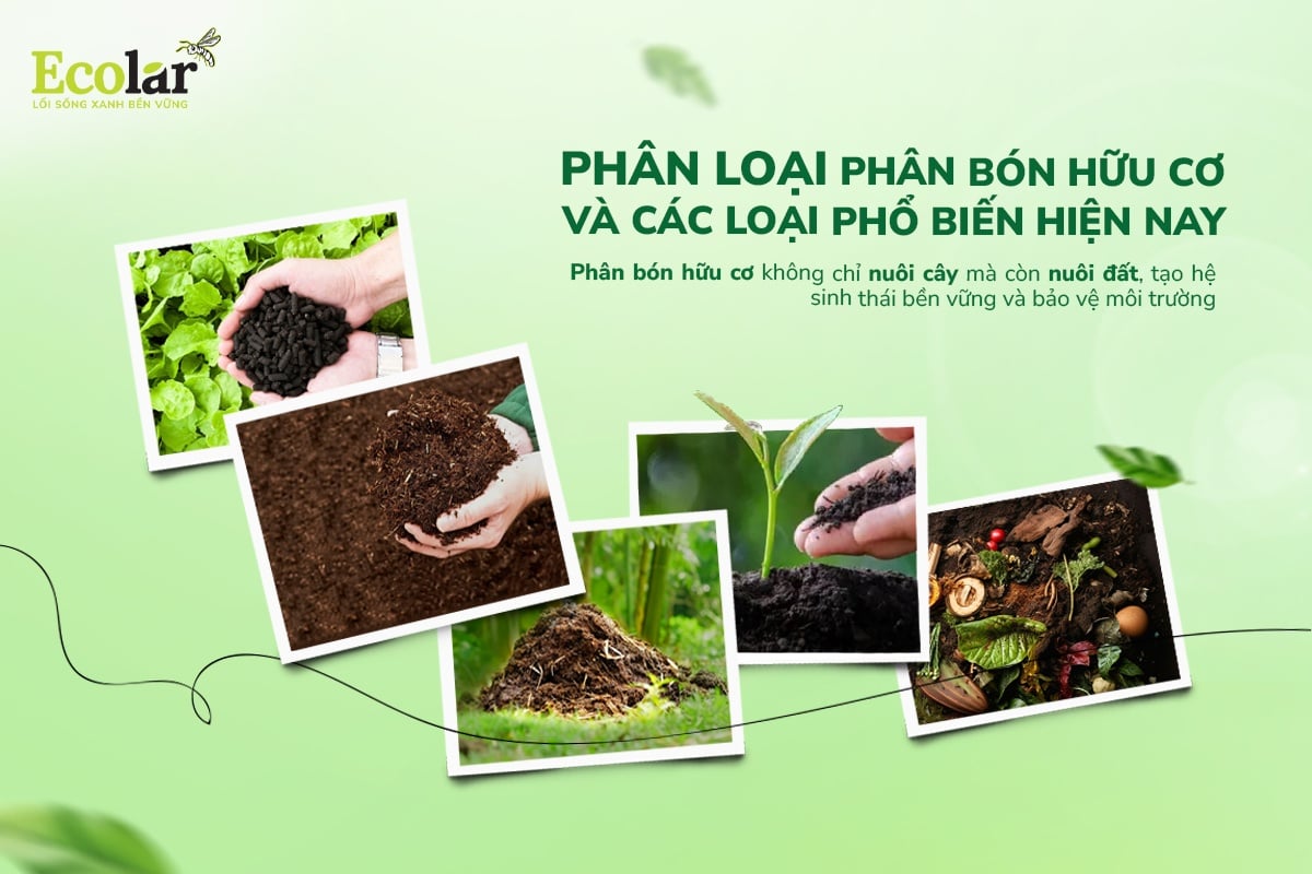 Phân loại phân bón hữu cơ dẫn đầu xu hướng nông nghiệp bền vững