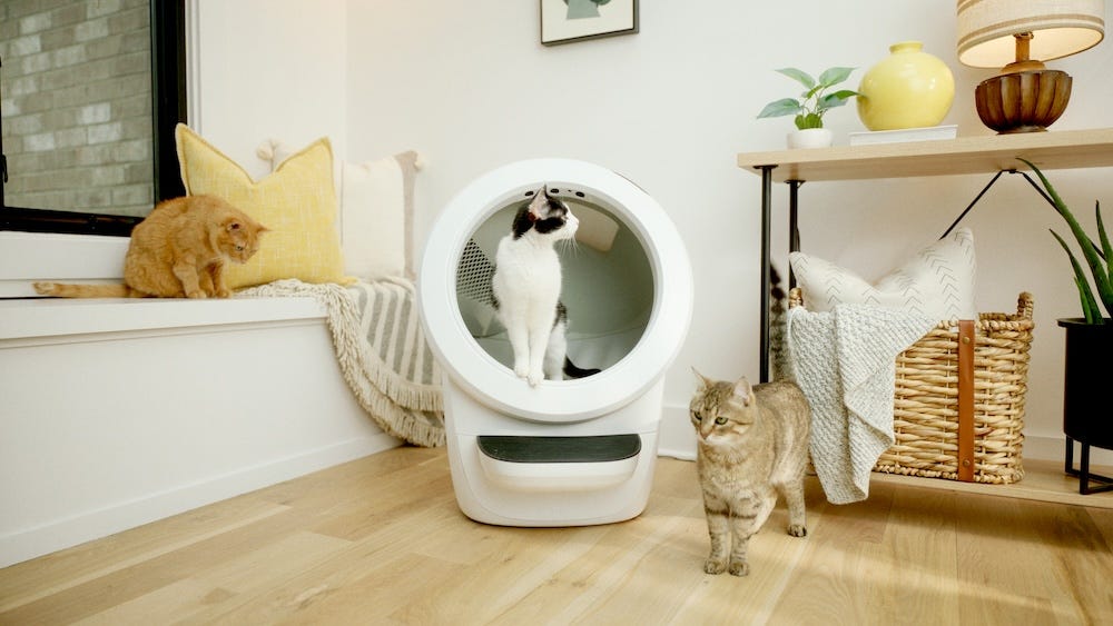 How translated guides help readers understand litter robot 3 vs 4 features