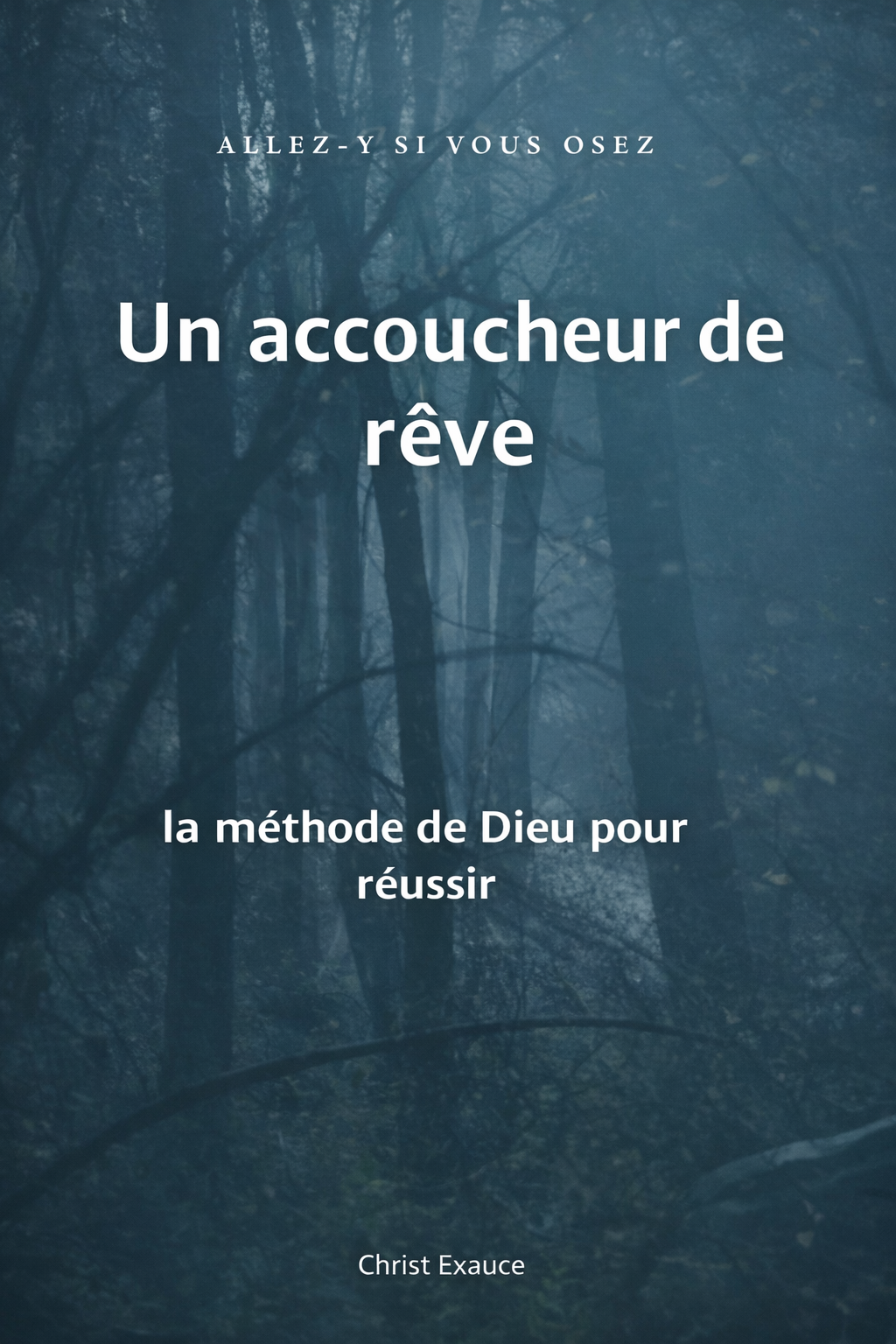 Un accoucheur de rrêve